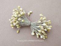 アンティーク 花芯  ペップ サーモンピンク＆グリーン