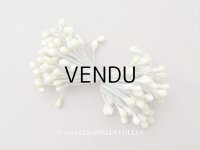 アンティーク 花芯  ペップ サーモンピンク＆グリーン