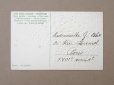 画像2: 1907年 アンティーク 鈴蘭のポストカード (2)