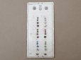 画像2: 19世紀末 アンティーク  サンプラー グラスストーン - AS & JHJS - (2)