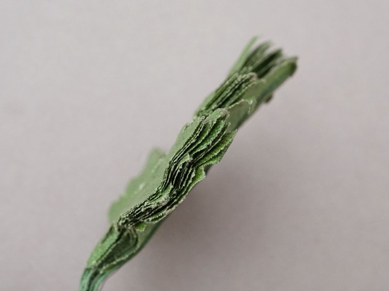 画像2: ＊蚤の市セット＊ アンティーク 布花用リーフのセット