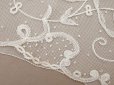 画像9: 19世紀末 アンティーク ドレスパーツ リボンのモチーフ アプリカシオン・アングルテール  4.2m 幅広22.5cmオフホワイト ボビンレース (9)