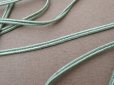 画像3: アンティーク 紐 ミントグリーン 3m 2mm幅 (3)