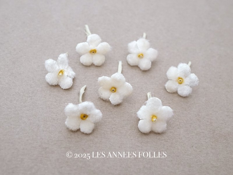 画像1: アンティーク 勿忘草 ベルベットの布花  オフホワイト 7ピースのセット 15mm