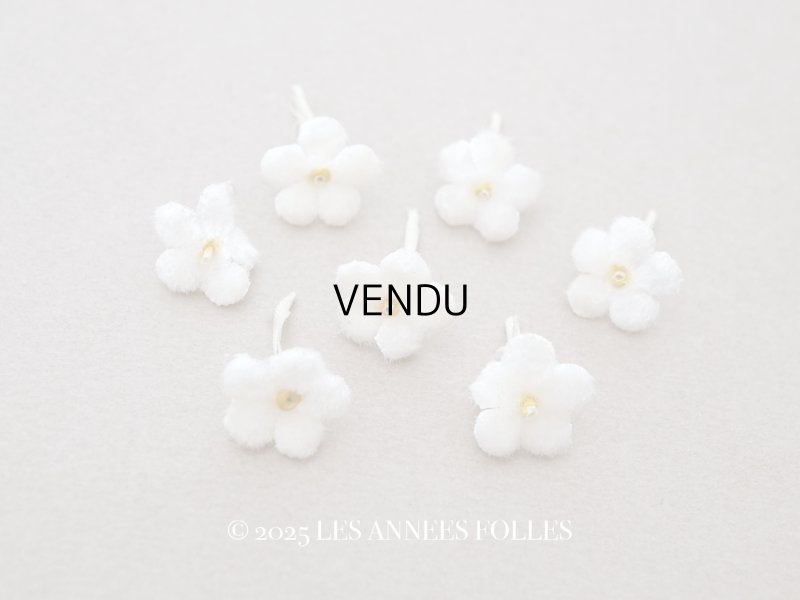 画像1: アンティーク 勿忘草 ベルベットの布花  オフホワイト 7ピースのセット 15mm