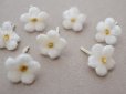 画像2: アンティーク 勿忘草 ベルベットの布花  オフホワイト 7ピースのセット 15mm (2)