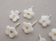 画像3: アンティーク 勿忘草 ベルベットの布花  オフホワイト 7ピースのセット 15mm (3)