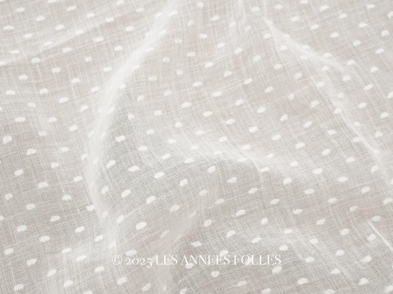 画像1: アンティーク  ドット刺繍入り コットンオーガンジー オフホワイト ファブリック 83×77cm