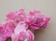 画像2: アンティーク 菫の布花 パルマ菫 ピンク (2)