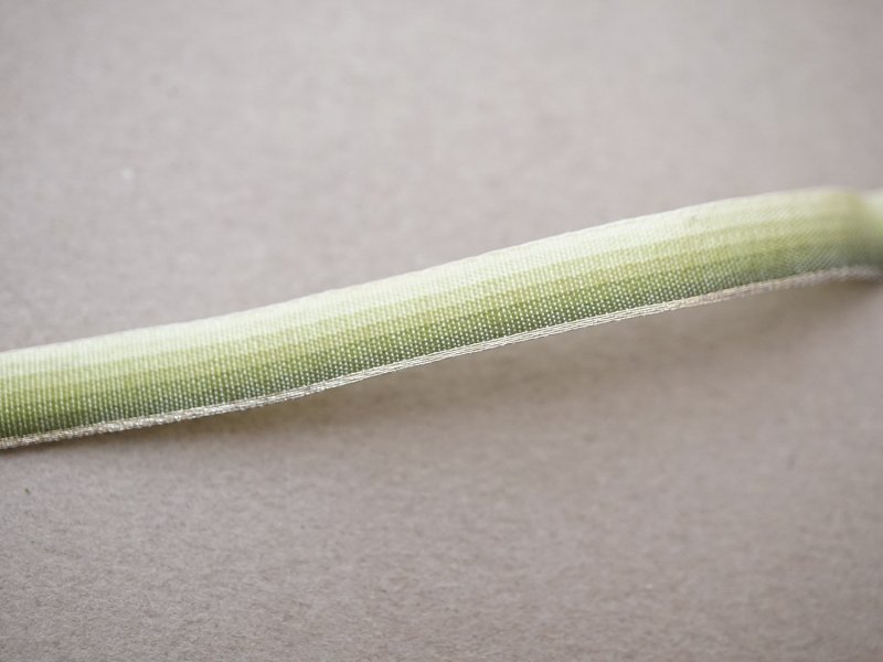 画像2: アンティーク シルクリボン 金糸の縁取り グリーンのグラデーション 幅7mm シルク製 リボン