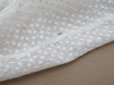 画像11: 1900年頃 アンティーク ベビー用 ブラウスドット刺繍のコットンファブリック  (11)