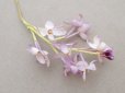 画像3: アンティーク ライラックの布花 薄紫 (3)