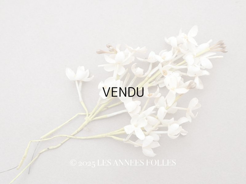 画像1: アンティーク ライラックの布花 オフホワイト