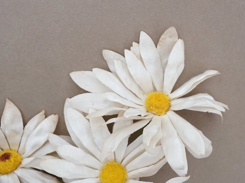 画像3: アンティーク マーガレットの布花 