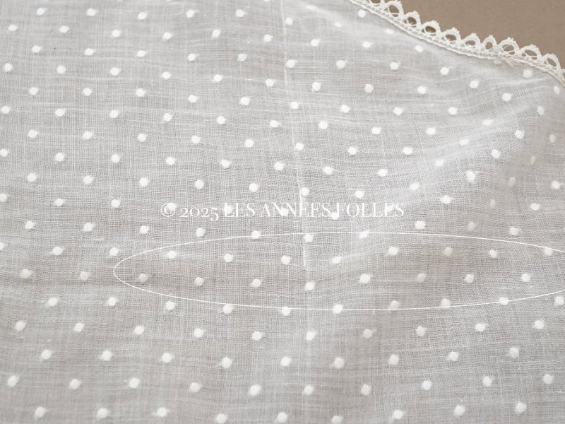 画像13: アンティーク  ドット刺繍入り コットンオーガンジー オフホワイト ファブリック テーブルクロス