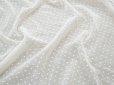 画像4: アンティーク  ドット刺繍入り コットンオーガンジー オフホワイト ファブリック テーブルクロス (4)