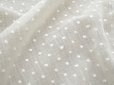 画像2: アンティーク  ドット刺繍入り コットンオーガンジー オフホワイト ファブリック テーブルクロス (2)