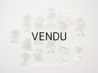 ＊蚤の市セット＊ アンティーク ダイカットクロモのセット 木