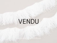 ＊蚤の市セット＊ アンティーク オフホワイトのフェザー 2点セット