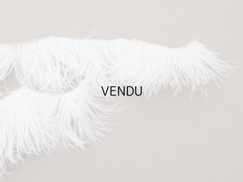 画像5: ＊蚤の市セット＊ アンティーク オフホワイトのフェザー 2点セット