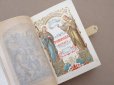画像8: ＊蚤の市＊ 1889年 ミサ典書 クロス＆葡萄の木＆麦の穂 聖書  (8)
