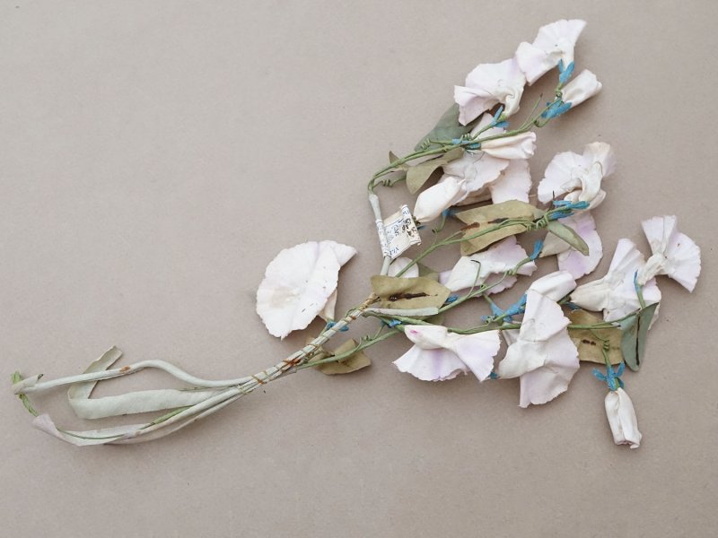 画像8: ＊蚤の市＊アンティーク 布花 昼顔 プランタン百貨店のラベル付 - AU PRINTEMPS -