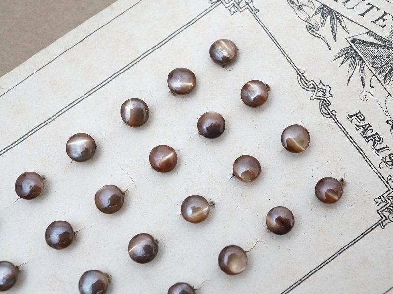 画像3: アンティーク マザーオブパール製 極小 ボタン 5mm 24ピース シェルボタン ブラウン