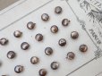 画像8: アンティーク マザーオブパール製 極小 ボタン 5mm 24ピース シェルボタン ブラウン (8)