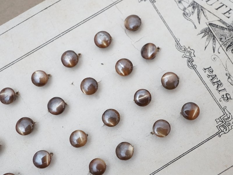画像8: アンティーク マザーオブパール製 極小 ボタン 5mm 24ピース シェルボタン ブラウン