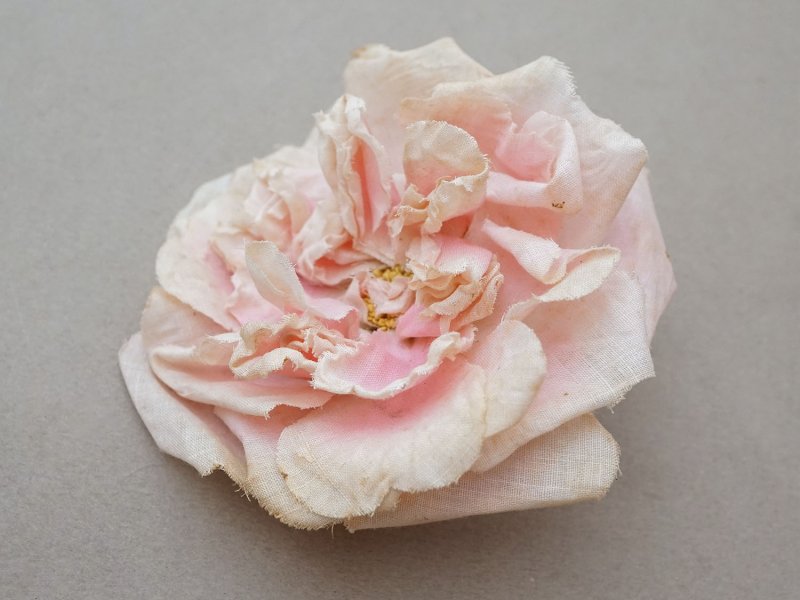 画像3: 1900年頃 アンティーク薔薇の布花 パウダーピンク クウォーターロゼット咲き