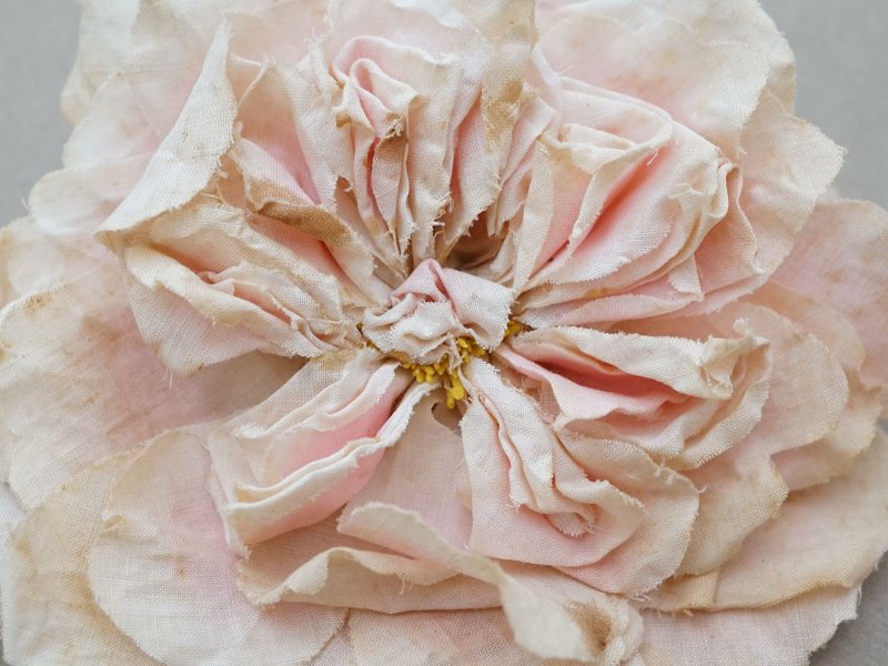 画像2: 1900年頃 アンティーク薔薇の大きな布花 パウダーピンク クウォーターロゼット咲き