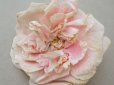 画像2: 1900年頃 アンティーク薔薇の布花 パウダーピンク クウォーターロゼット咲き (2)