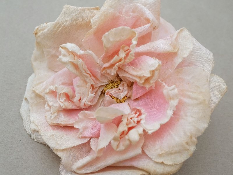 画像2: 1900年頃 アンティーク薔薇の布花 パウダーピンク クウォーターロゼット咲き