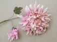 画像4:  アンティーク 布花 西洋菊 クリザンテーム ピンク (4)