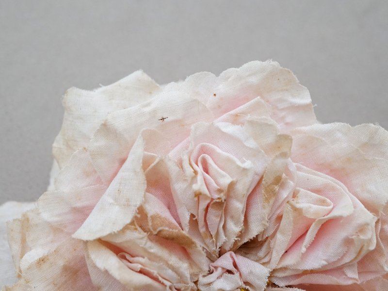 画像3: 1900年頃 アンティーク薔薇の大きな布花 パウダーピンク クウォーターロゼット咲き