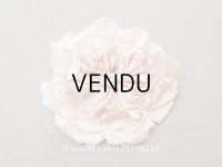 1900年頃 アンティーク薔薇の大きな布花 パウダーピンク クウォーターロゼット咲き