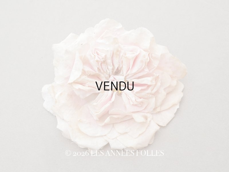 画像1: 1900年頃 アンティーク薔薇の大きな布花 パウダーピンク クウォーターロゼット咲き