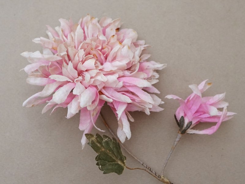 画像5:  アンティーク 布花 西洋菊 クリザンテーム ピンク
