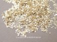 画像1: 19世紀 アンティーク シルバー製 ゴールドコーティング 極小 1mm スパンコール 200ピースのセット (1)