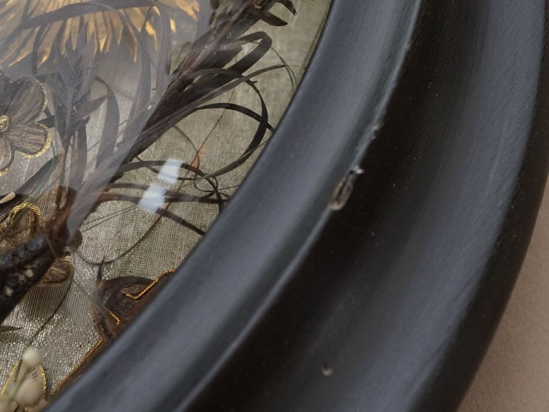 画像16: 19世紀 アンティーク ルリケール 大きなガラスドーム 遺物 44.6×35cm