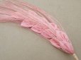 画像3: ＊蚤の市＊アンティーク  帽子用 フェザー ピンク 2点セット (3)