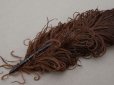 画像2: ＊蚤の市＊アンティーク  帽子用 フェザー チョコレートブラウン 羽飾り  (2)