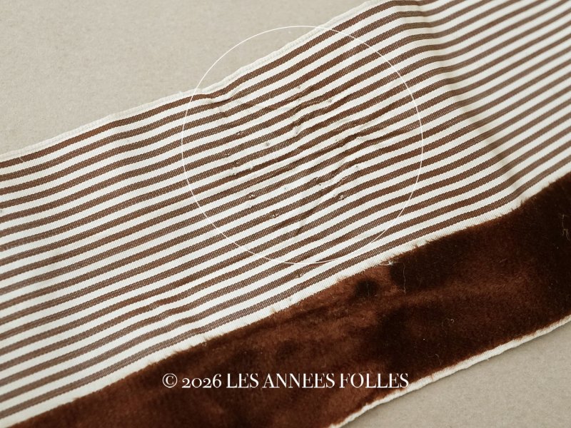 画像4: 1900年頃 アンティーク シルク製 リボン ストライプ ブラウンのベルベット  2.4m