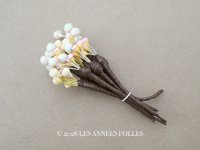 アンティーク ペップ  花芯 パステルカラー