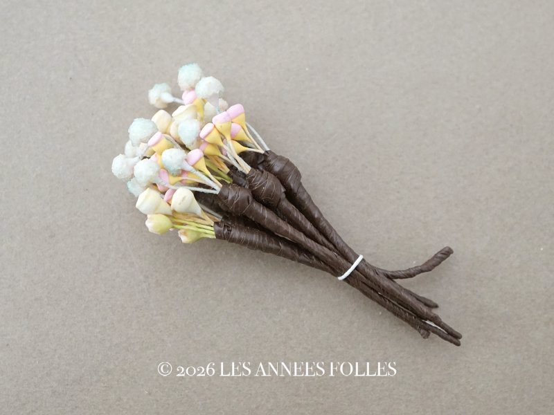 画像1: アンティーク ペップ  花芯 パステルカラー