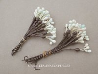 ＊蚤の市セット＊アンティーク ペップ 花芯 2点セット 