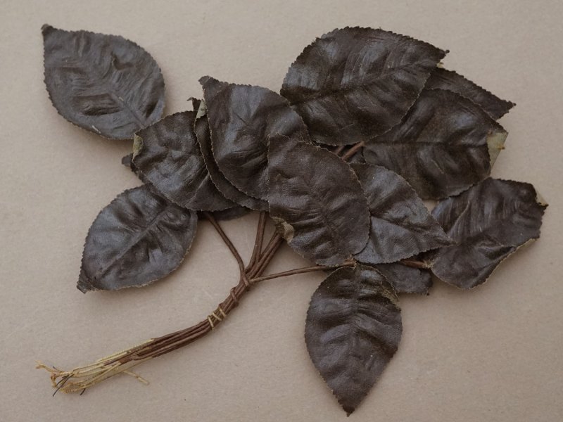 画像2: ＊蚤の市セット＊ アンティーク 1900年頃 大きなリーフのセット　