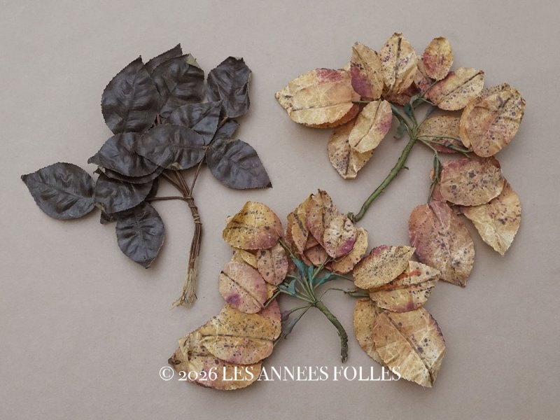 画像1: ＊蚤の市セット＊ アンティーク 1900年頃 大きなリーフのセット　