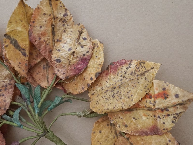 画像4: ＊蚤の市セット＊ アンティーク 1900年頃 大きなリーフのセット　