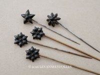 ＊蚤の市セット＊19世紀末 アンティーク 花のエパングル 5点セット